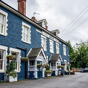 Harper'S Steakhouse With Rooms, Haslemere